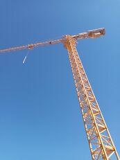 ZOOMLION tower crane